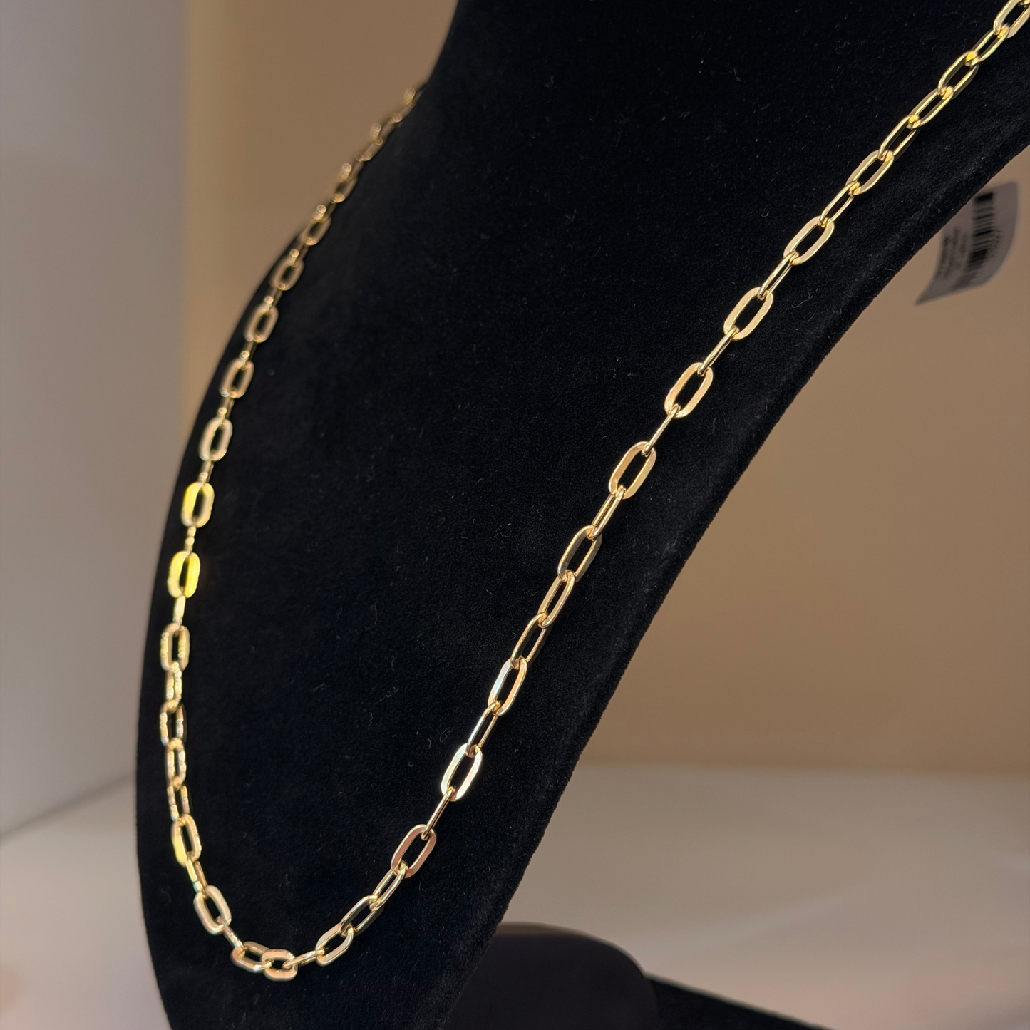 10k Paperclip Necklace