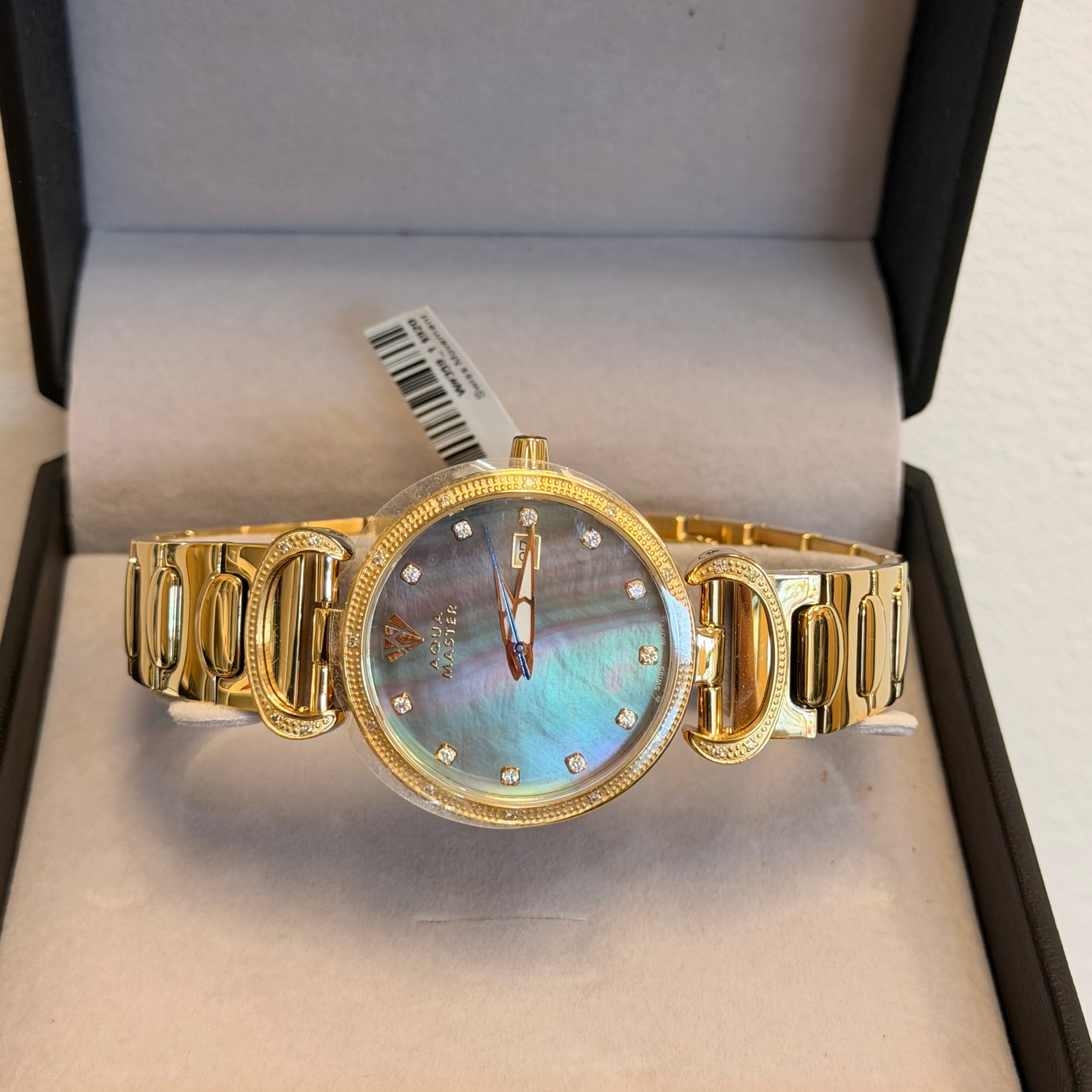 Aqua Master Watch