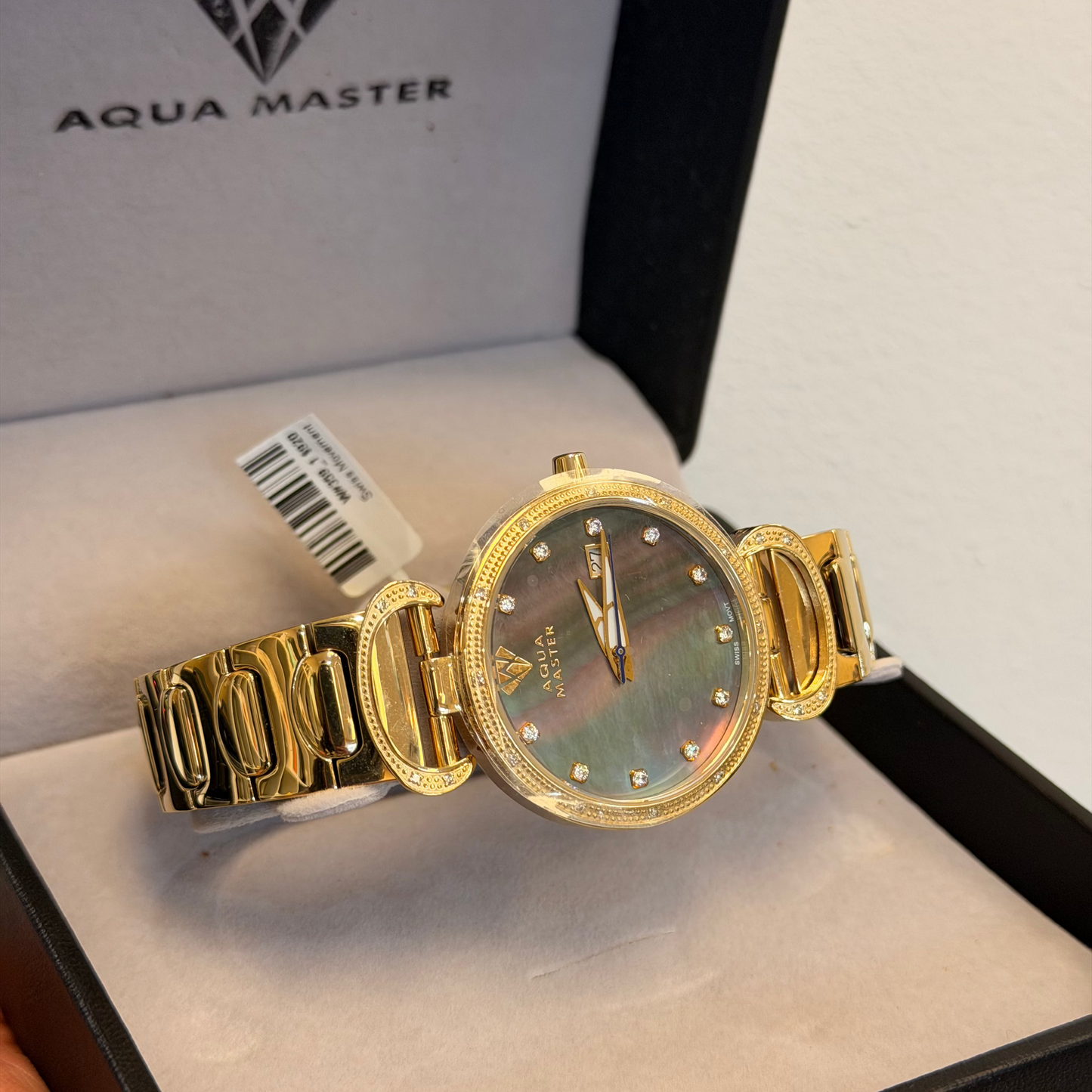 Aqua Master Watch