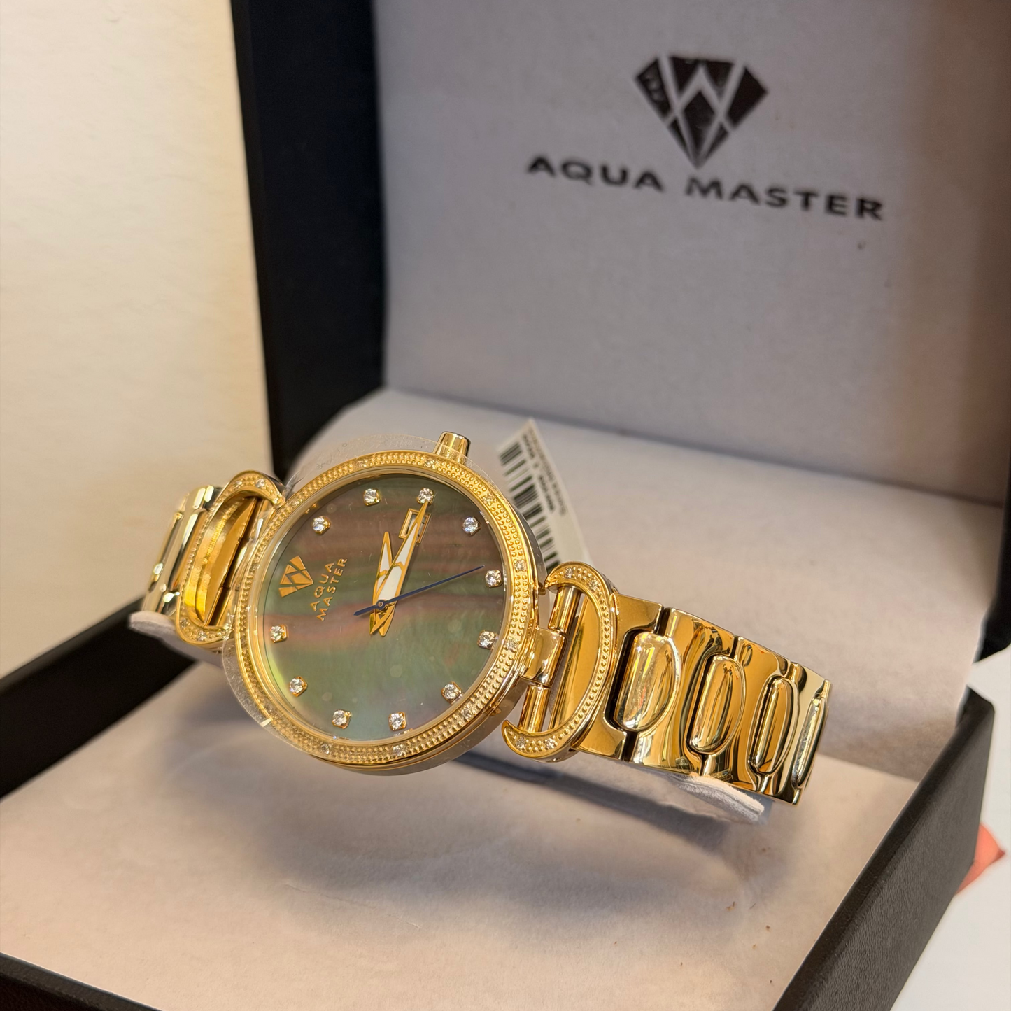 Aqua Master Watch