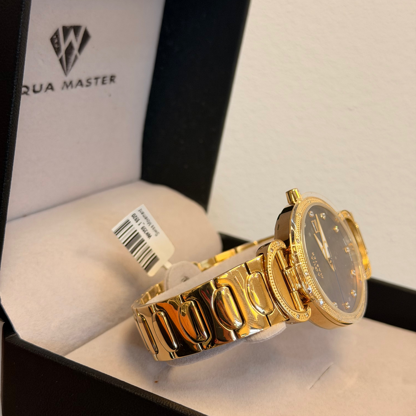 Aqua Master Watch