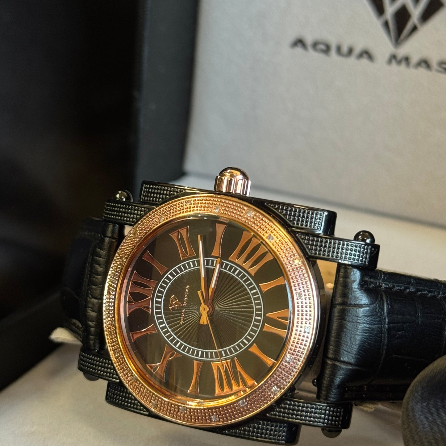 Aqua Master Diamond Watch