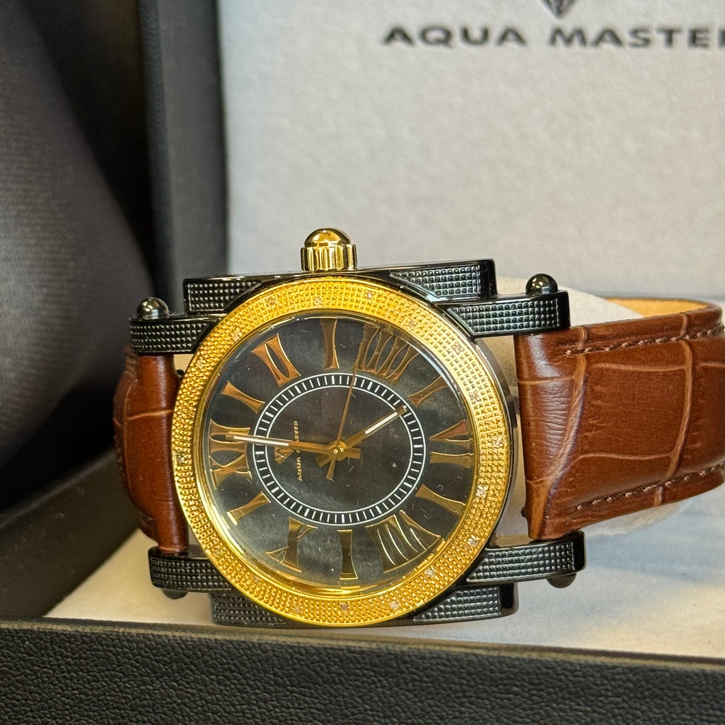 Aqua Master Diamond Watch