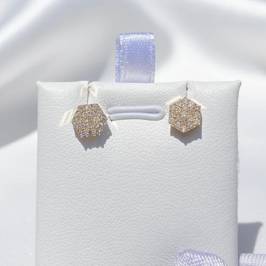 10k Diamond earrings